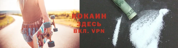 крисы Зерноград