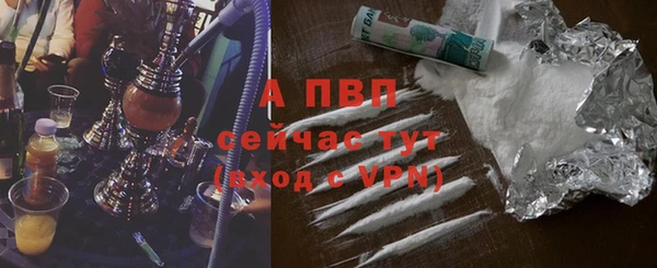 крисы Зерноград
