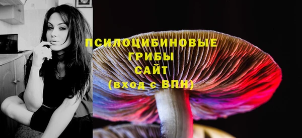 MESCALINE Инсар